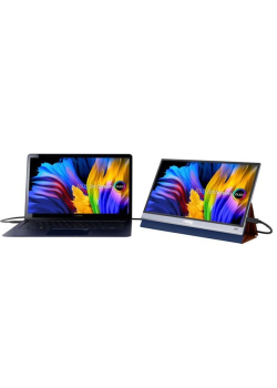 Monitor Asus 13,3