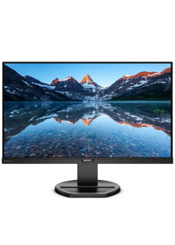 Monitor Philips 25" 252B9/00 VGA DVI HDMI DP 5xUSB głośniki