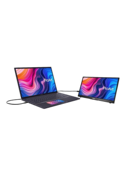 Monitor Asus 14