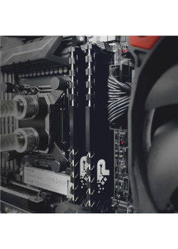 Pamięć DDR4 Patriot Signature Premium 32GB (2x16GB) 2666 MHz CL19 1,2V-954579